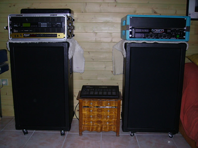 Construire une cabinet 1x12 ou 2x12 Bluesnake_cab_1_2_avant_tissus